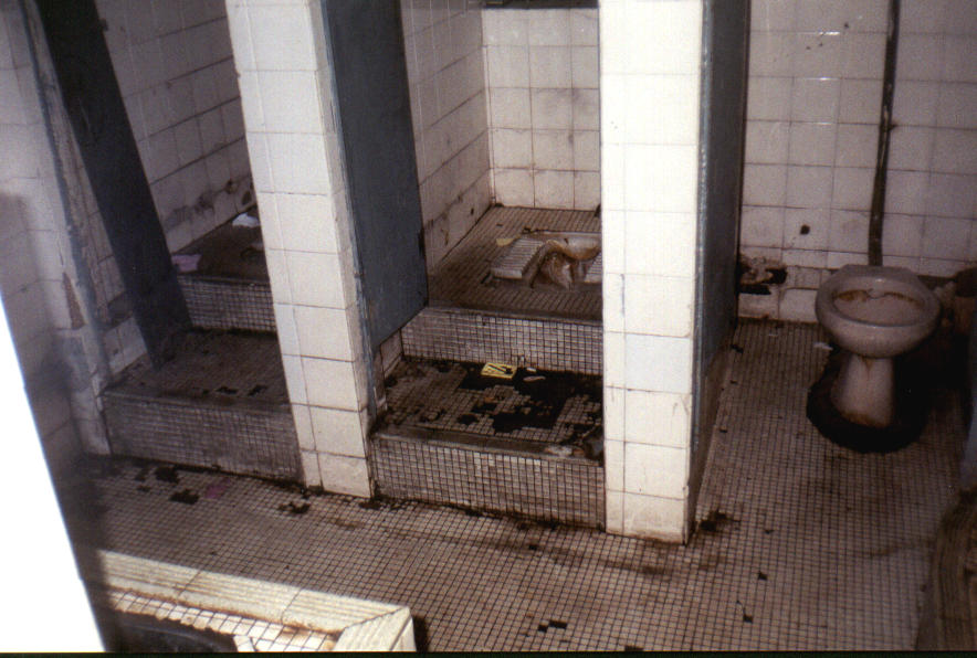 toilets-chungking.jpg
