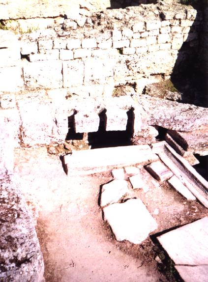 Biblical Toilet - New Testament