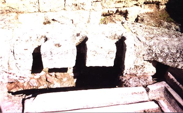 Biblical Toilet - New Testament